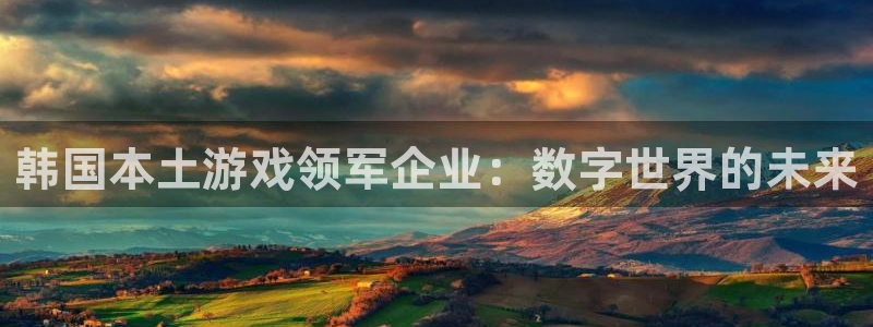 db电竞子签约作家：韩国本土游戏领军企业：数字世界的未来