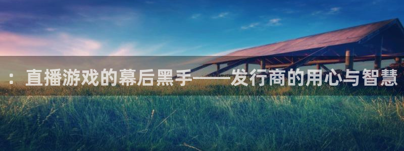 db电竞电子商务有限公司怎么样啊：：直播游戏的幕后黑手——发行商的用心与智慧