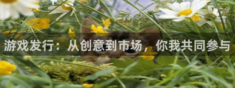 db电竞子最好看的小说：游戏发行：从创意到市场，你我共同参与