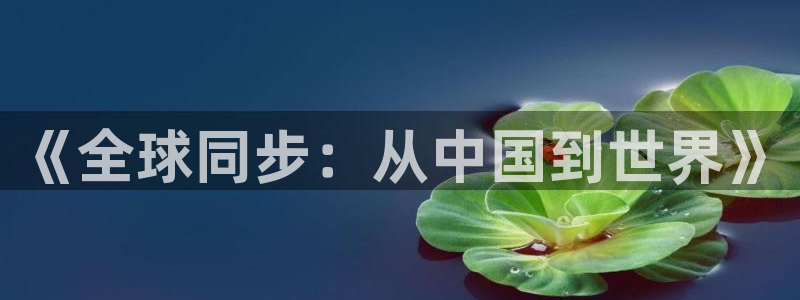 db电竞logo：《全球同步：从中国到世界》