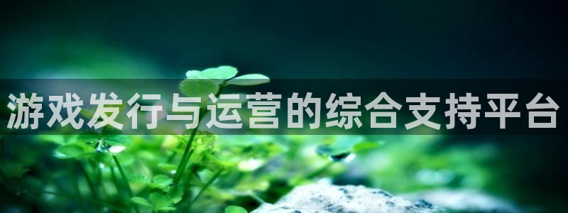 佛山db电竞：游戏发行与运营的综合支持平台