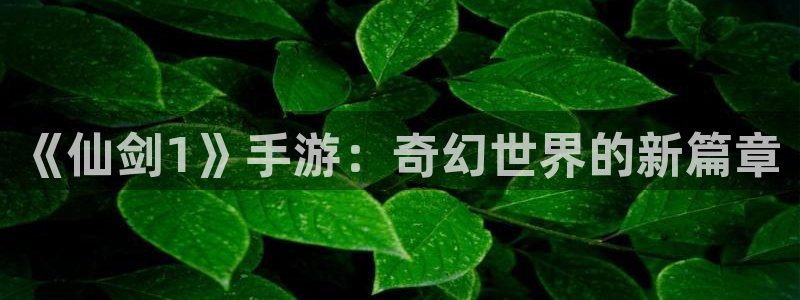 lvncesdb电竞衣服：《仙剑1》手游：奇幻世界的新篇章
