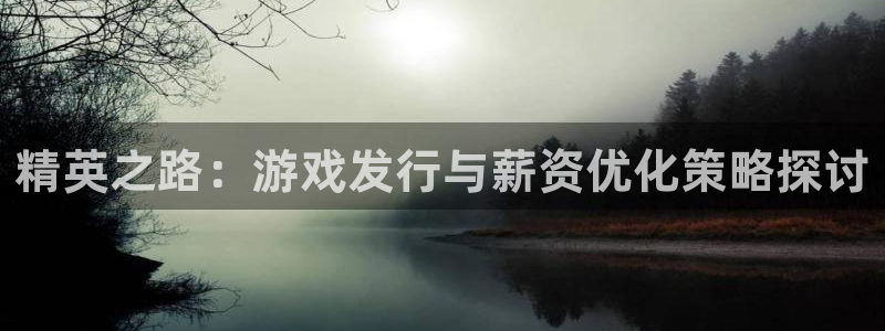 db电竞官网代理注册地址：精英之路：游戏发行与薪资优化策略探讨