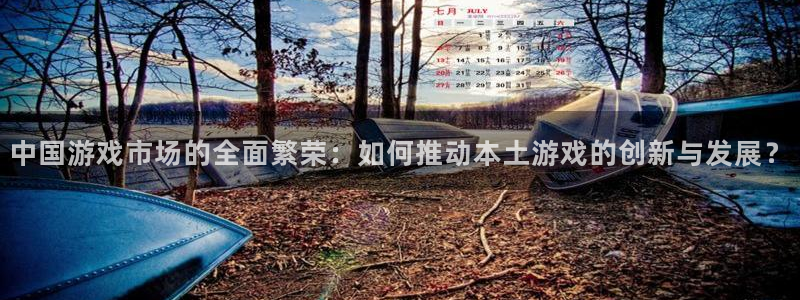 db电竞官网注册平台登录入口：中国游戏市场的全面繁荣：如何推动本土游戏的创新与发展？