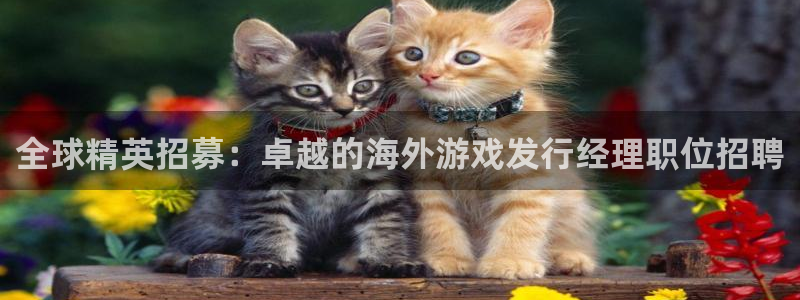 db电竞科技股票：全球精英招募：卓越的海外游戏发行经理职位招聘