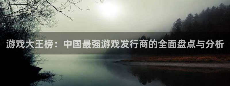 db电竞电子商务有限公司：游戏大王榜：中国最强游戏发行商的全面盘点与分析