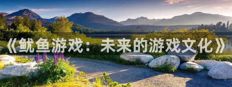 db电竞官网注册方法是什么意思：《鱿鱼游戏：未来的游戏文化》