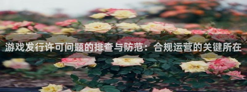 db电竞子最好看的小说