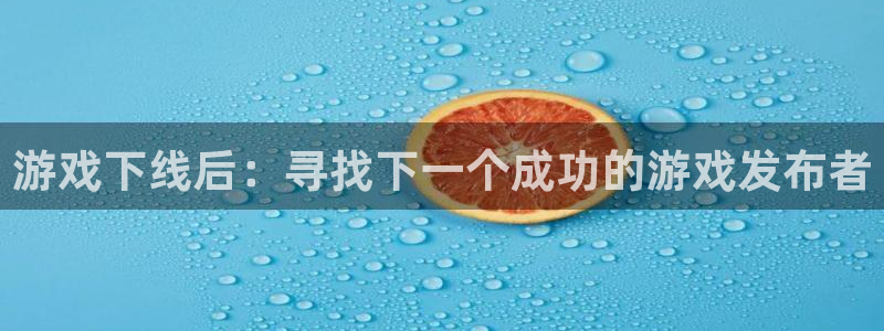 db电竞官网注册方法是什么软件：游戏下线后：寻找下一个成功的游戏发布者