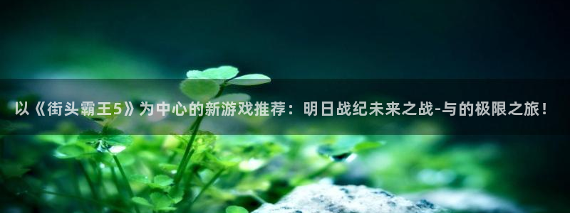 db电竞户外