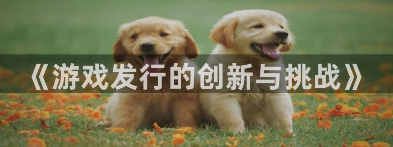 四川db电竞科技有限公司怎么样