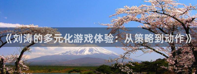 db电竞官网注册平台怎么注册账号：《刘涛的多元化游戏体验：从策略到动作》