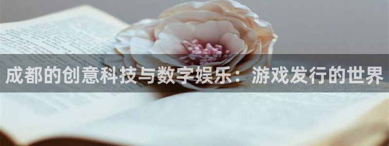 江苏db电竞：成都的创意科技与数字娱乐：游戏发行的世界